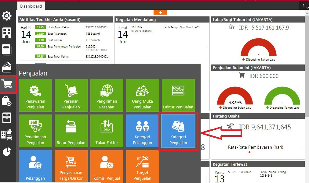 fitur kategori penjualan accurate online