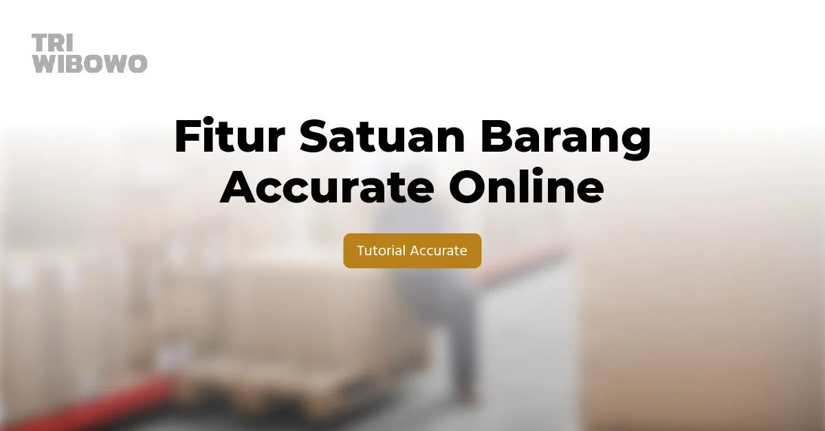 fitur satuan barang accurate online